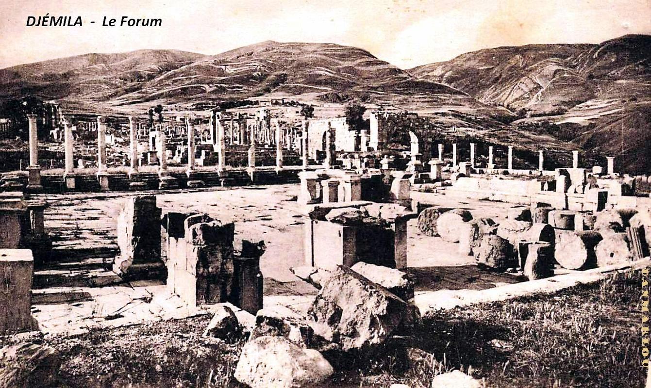 Djemila - Forum.jpg